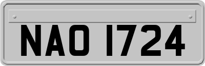 NAO1724