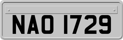 NAO1729