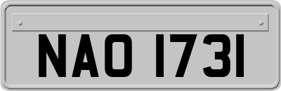 NAO1731