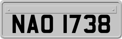 NAO1738