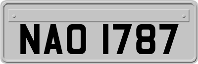 NAO1787