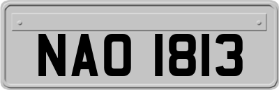 NAO1813