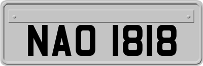 NAO1818