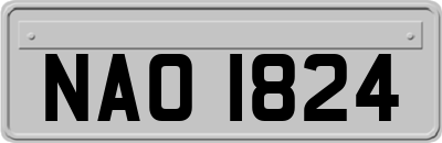 NAO1824