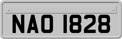 NAO1828