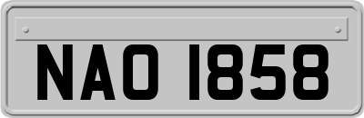 NAO1858