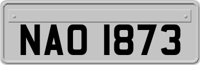 NAO1873