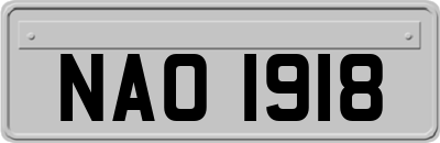 NAO1918