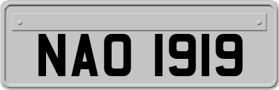 NAO1919