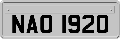 NAO1920