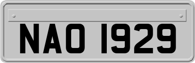 NAO1929