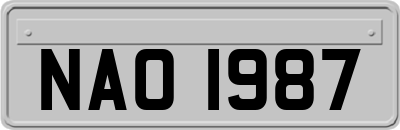 NAO1987