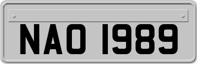 NAO1989