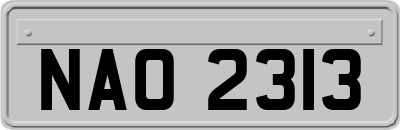 NAO2313