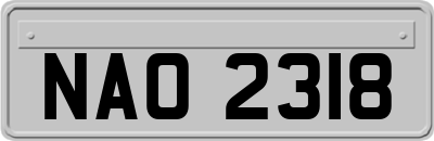 NAO2318