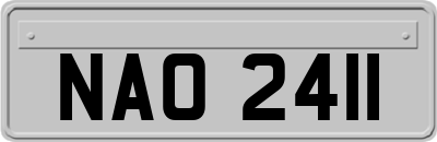 NAO2411