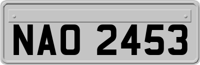 NAO2453