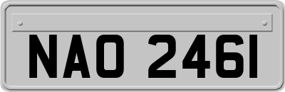 NAO2461