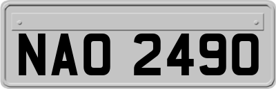 NAO2490