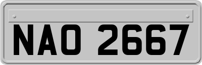 NAO2667