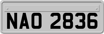 NAO2836