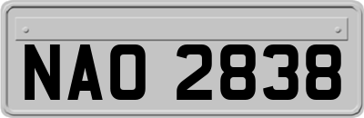 NAO2838