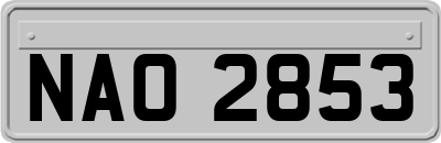 NAO2853