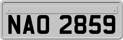 NAO2859