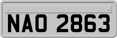 NAO2863