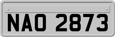 NAO2873