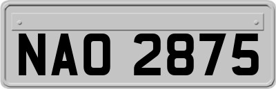 NAO2875