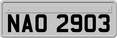 NAO2903