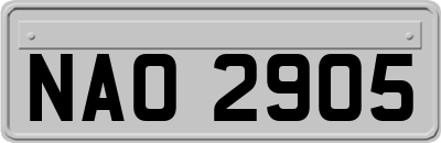 NAO2905