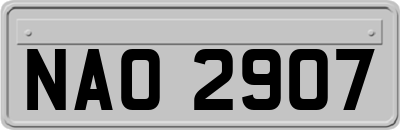 NAO2907