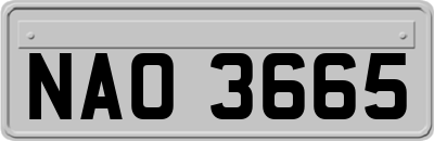 NAO3665