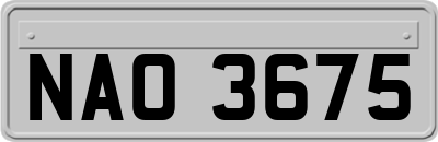 NAO3675