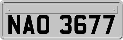 NAO3677