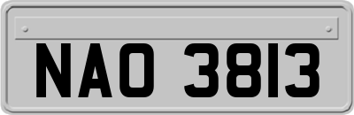 NAO3813