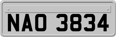 NAO3834