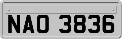 NAO3836