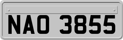 NAO3855