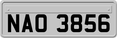 NAO3856