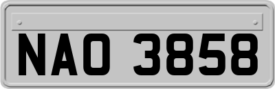 NAO3858