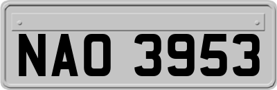 NAO3953