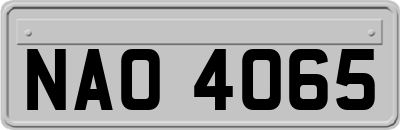 NAO4065