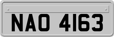 NAO4163