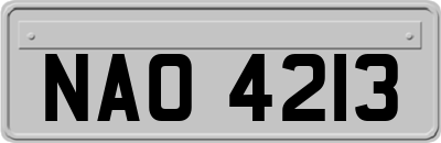 NAO4213