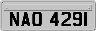 NAO4291