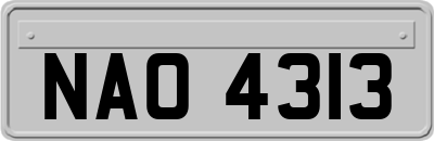 NAO4313