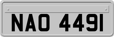 NAO4491